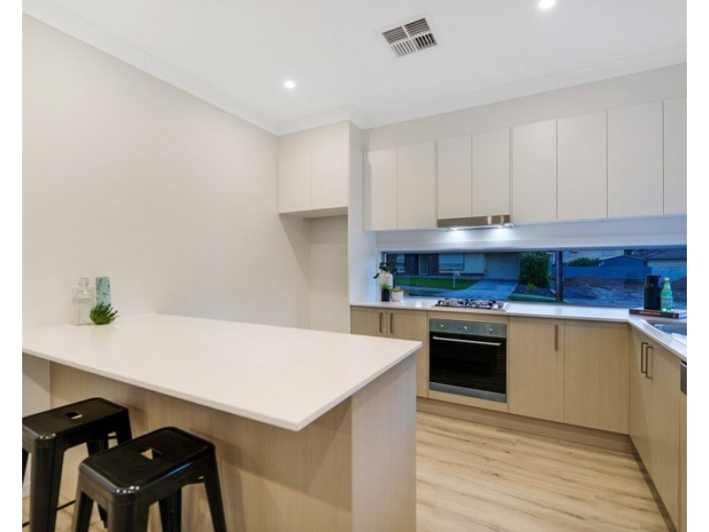 5 Brian Grove, Paradise SA 5075