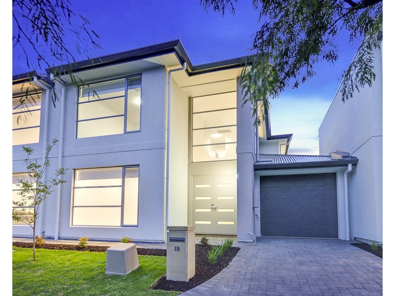 19 Parkwood Avenue, Paradise SA 5075