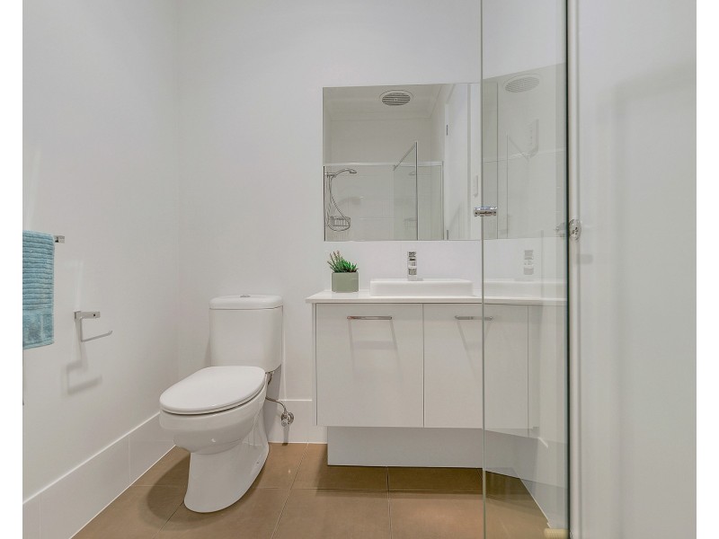 19 Parkwood Avenue, Paradise SA 5075