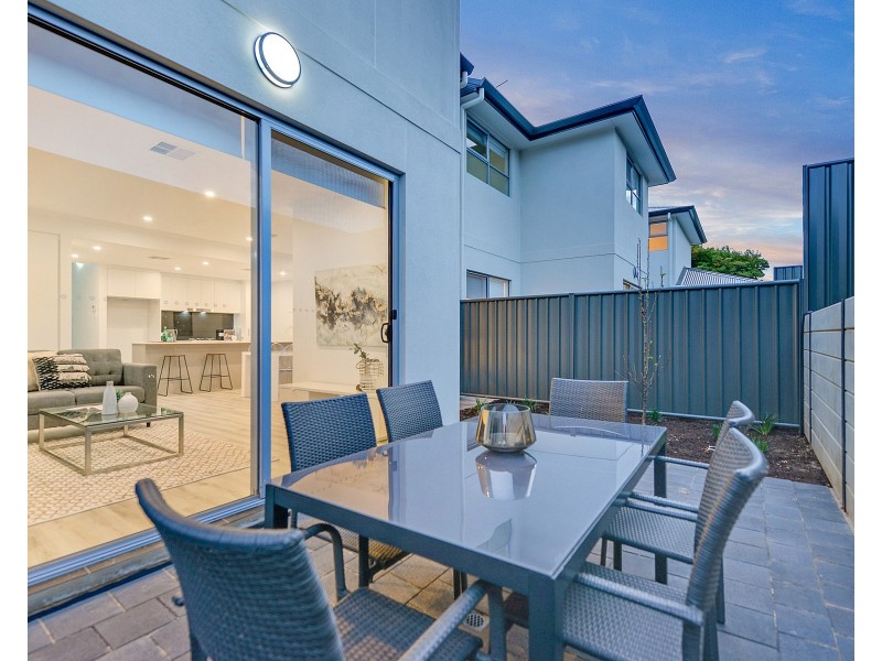 19 Parkwood Avenue, Paradise SA 5075