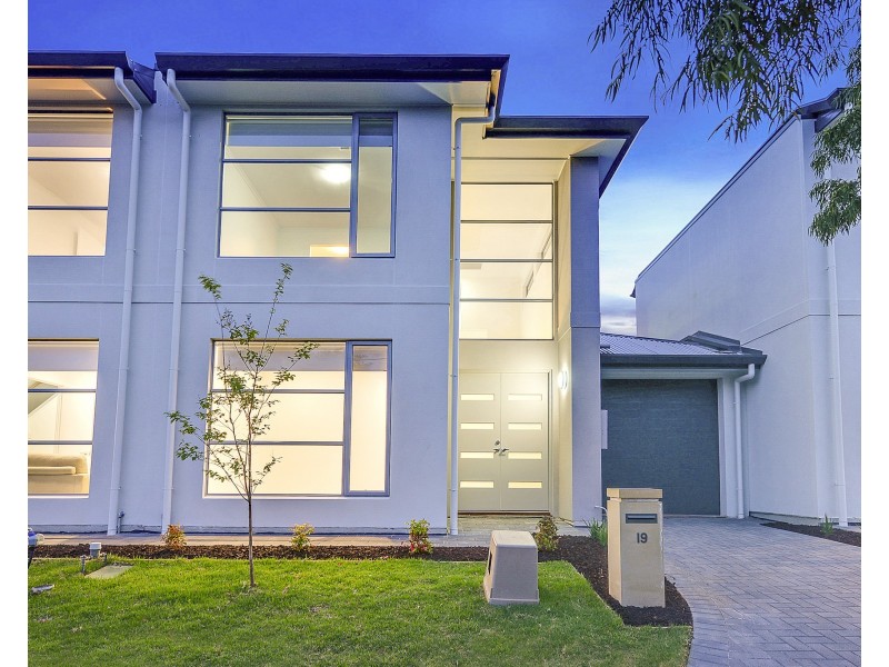 19 Parkwood Avenue, Paradise SA 5075