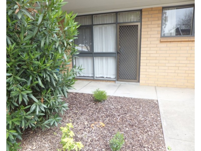 2/88 Sussex Street, North Adelaide SA 5006