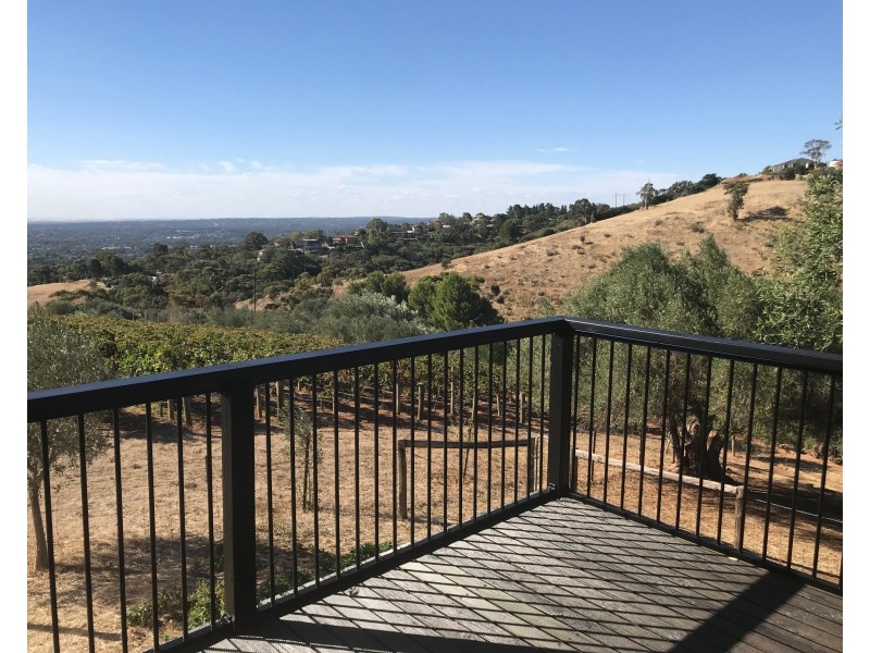 43 Woodlands Way, Teringie SA 5072