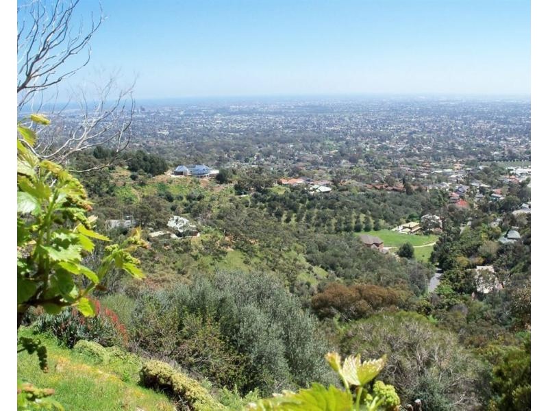 43 Woodlands Way, Teringie SA 5072