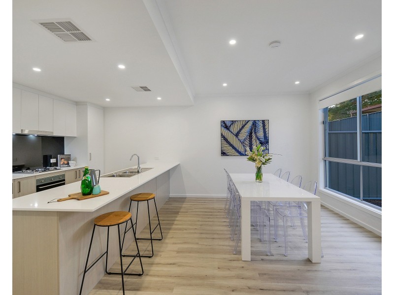 19 Parkwood Avenue, Paradise SA 5075