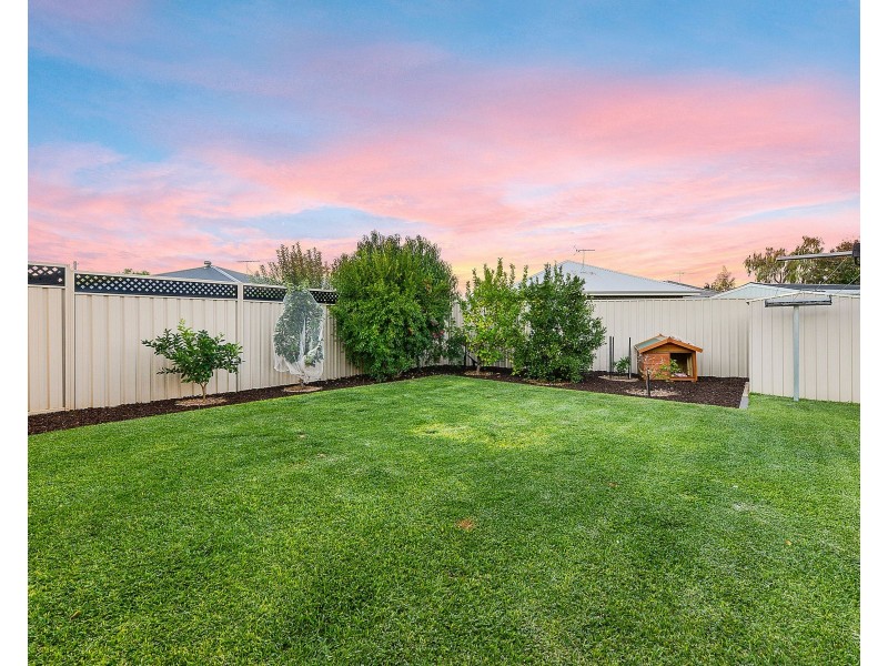 24 Gambia Avenue, Hampstead Gardens SA 5086