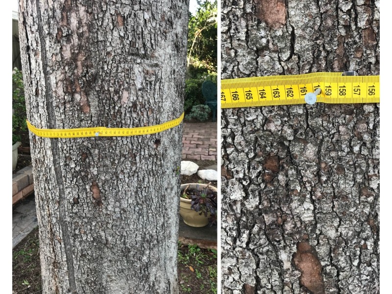 8 Yandra Street, Vale Park SA 5081