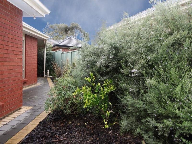 5 Creekview Drive, Mawson Lakes SA 5095