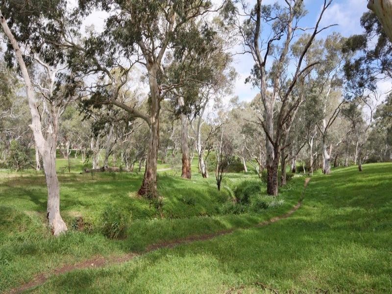 20 Carnarvon Avenue, Redwood Park SA 5097