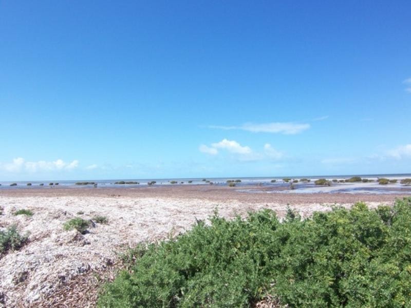 Lot 110 Shearwater Way, Thompson Beach SA 5501