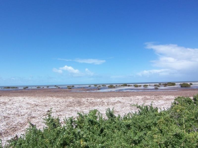 Lot 110 Shearwater Way, Thompson Beach SA 5501