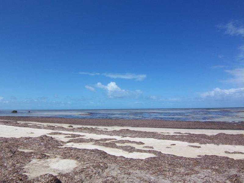 Lot 110 Shearwater Way, Thompson Beach SA 5501