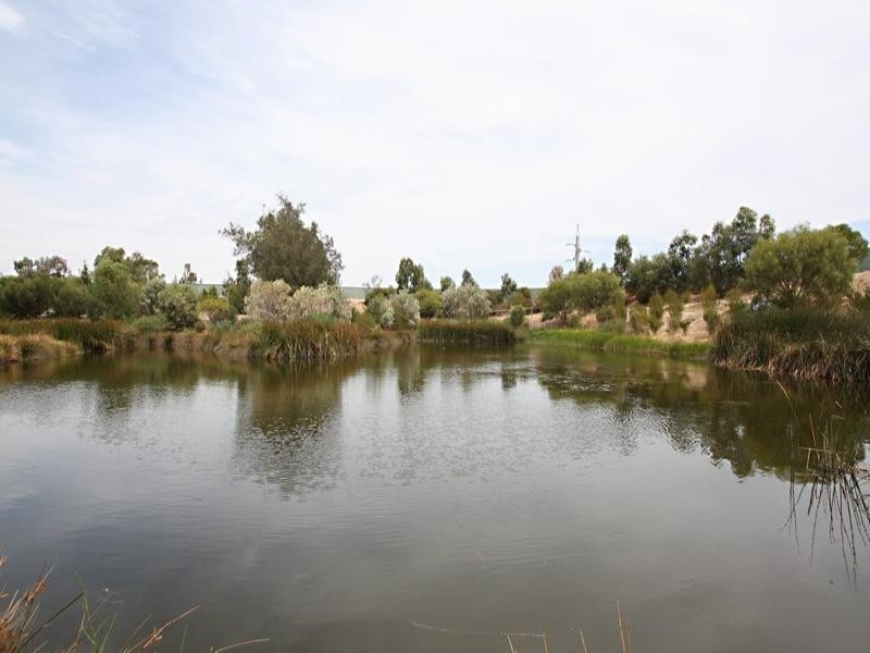 8 Dotterel Place, Mawson Lakes SA 5095