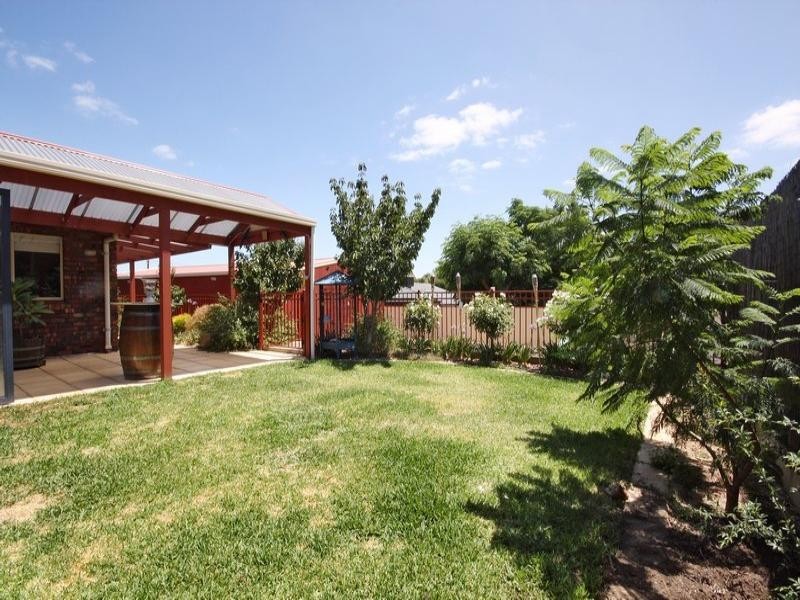 64 Whiting Road, St Agnes SA 5097