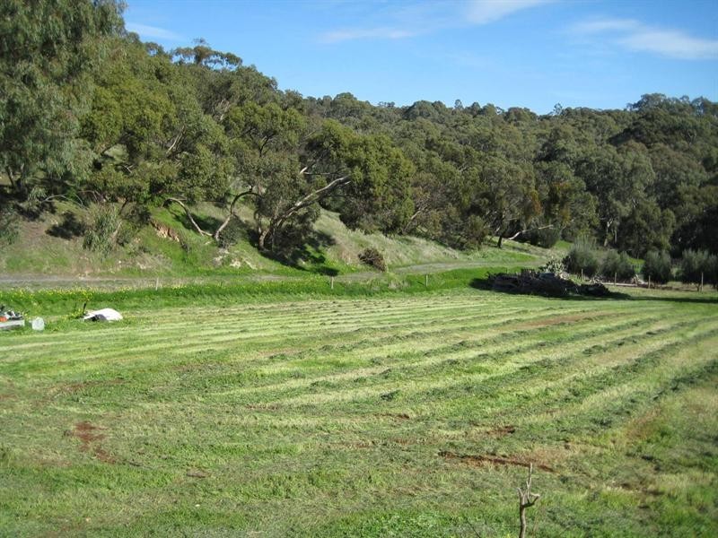 37 Clement Road, Athelstone SA 5076