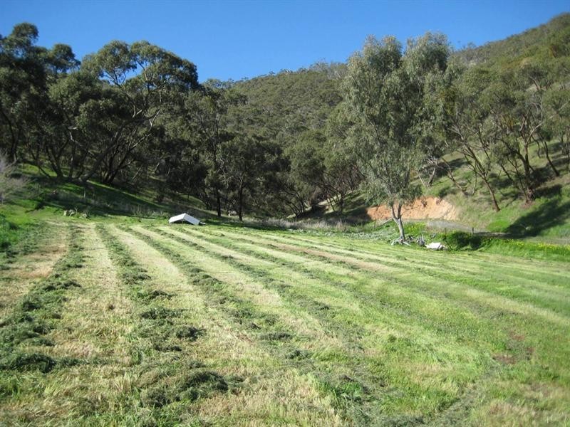 37 Clement Road, Athelstone SA 5076