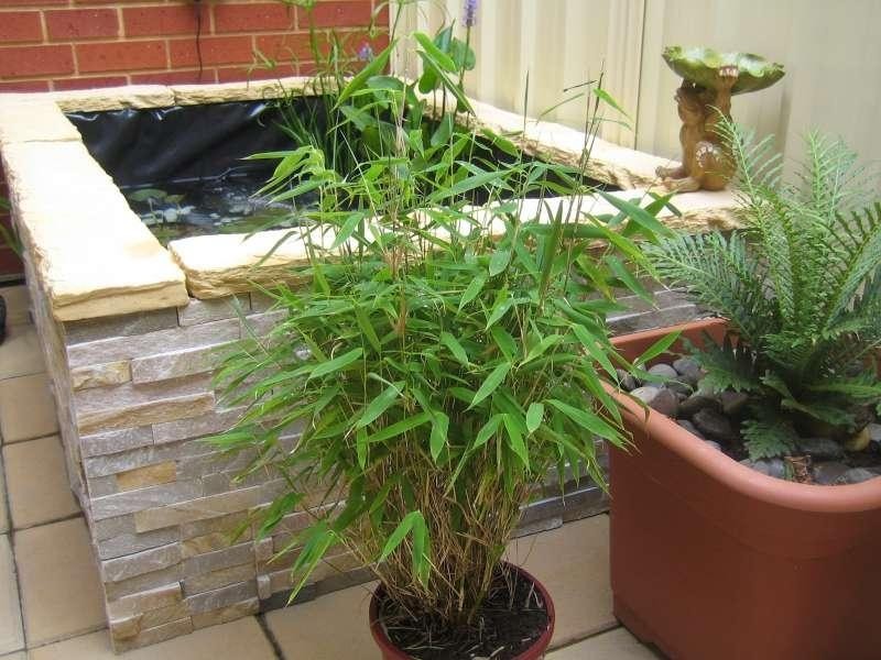 23B Flinders Road, Hillcrest SA 5086