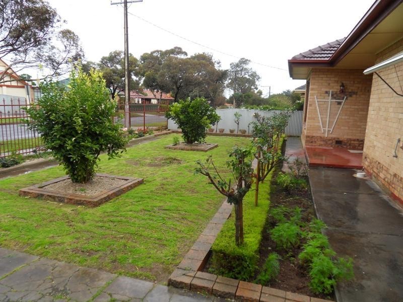 10 Branson Avenue, Clearview SA 5085