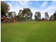 49 Perkins Avenue, Enfield SA 5085