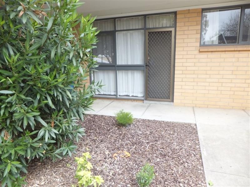 Unit 2/88 Sussex Street, North Adelaide SA 5006