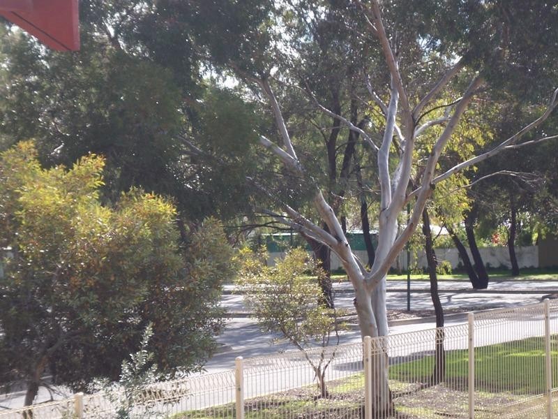 3a/24 Grove Street, Modbury SA 5092