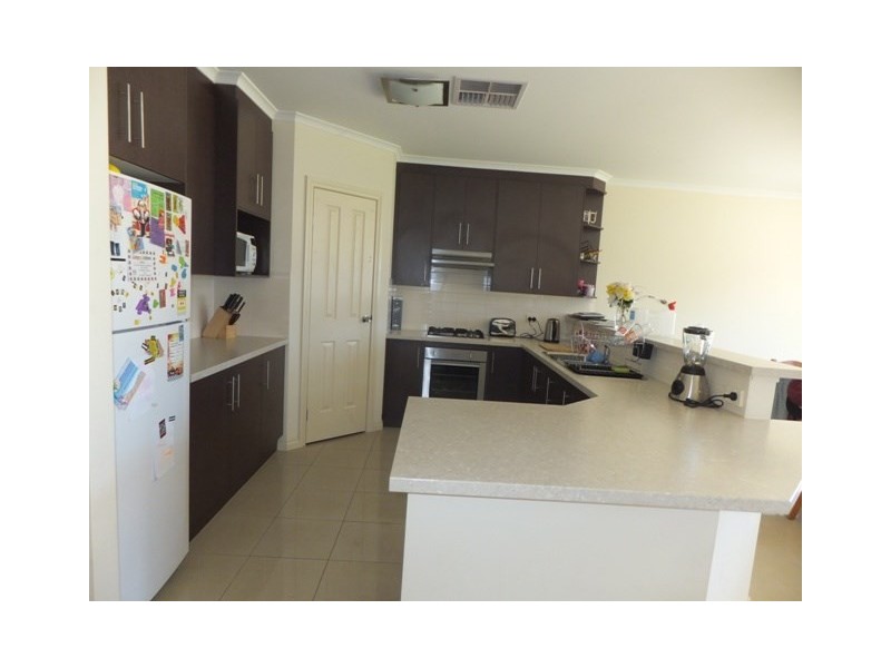 56 Gordon Avenue, Enfield SA 5085