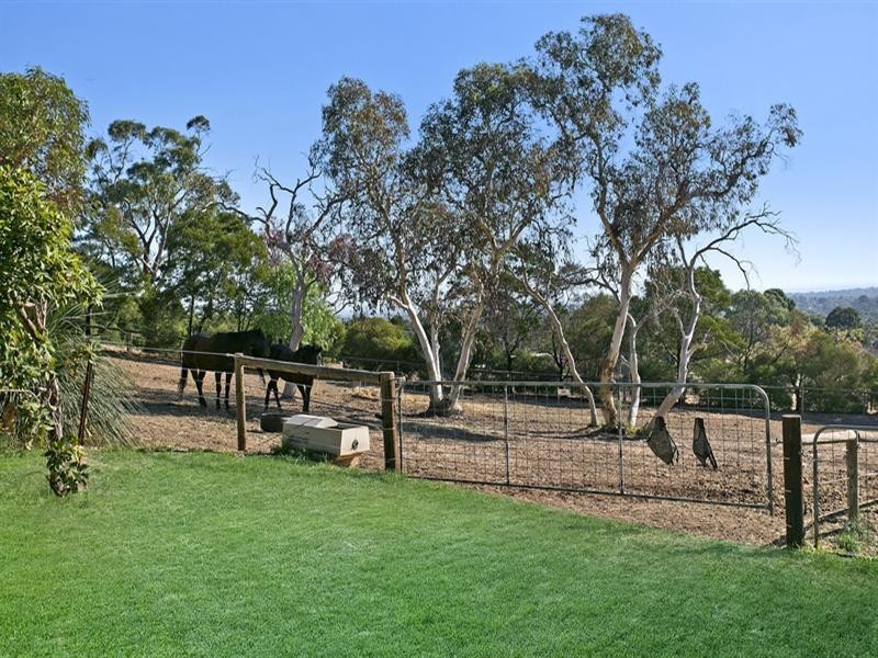 536 Grenfell Road, Fairview Park SA 5126