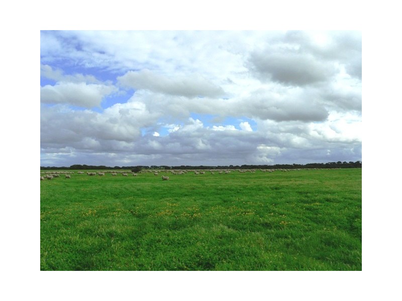 Section198 Red Banks Road, American River SA 5221