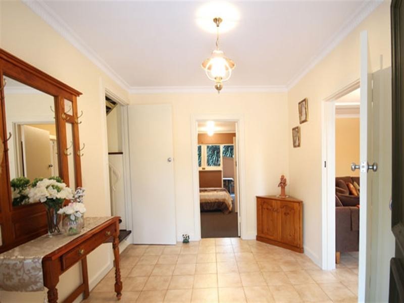 8 Botanic Grove, Campbelltown SA 5074