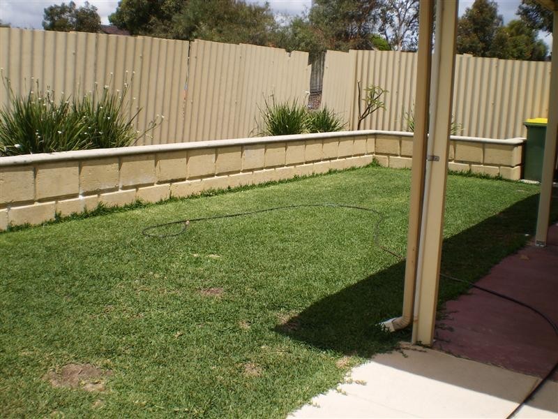 19 Passey Place, Kardinya WA 6163