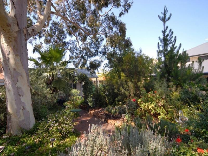 13 Ralston Road, Kardinya WA 6163