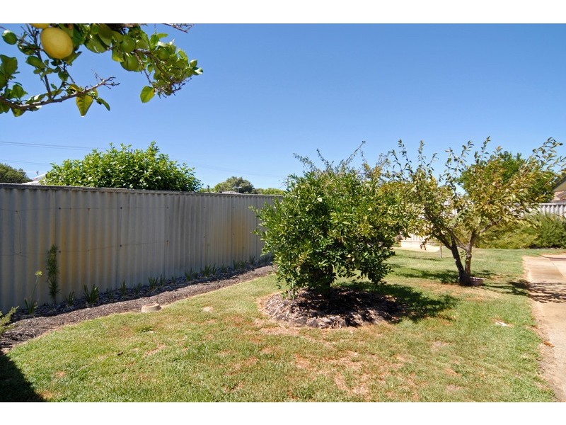 35 Dalston Crescent, Kardinya WA 6163