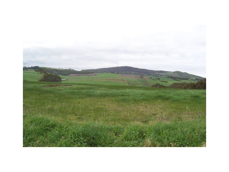 Lot 120 Cnr Burnbank Way and Furguson Court, Mount Barker SA 5251