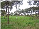 Lot 103 Kent Road, Kanmantoo SA 5252