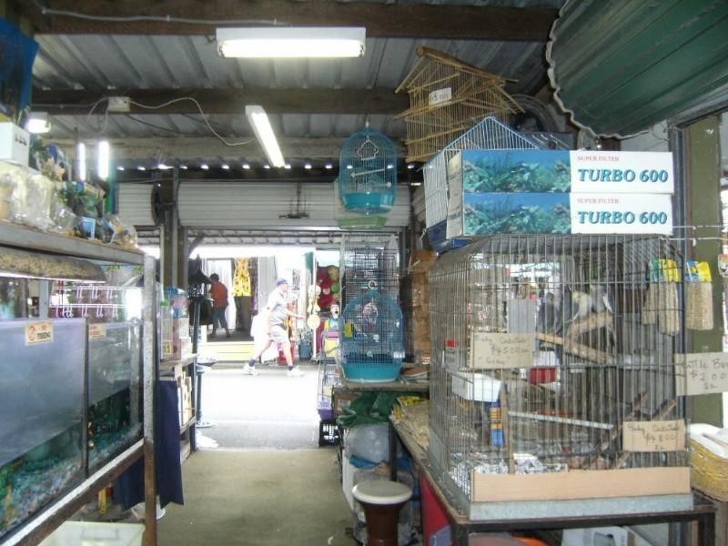 - Nerang Broadbeach Road, Carrara QLD 4211