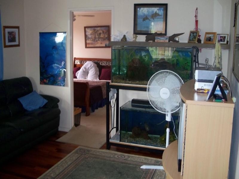 3/38 Brighton Street, Biggera Waters QLD 4216