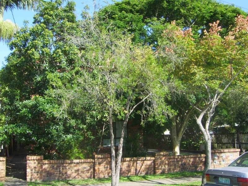 2/76 Brighton Street, Biggera Waters QLD 4216