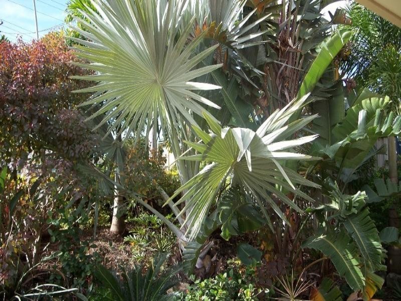 12 Fourth Avenue, Labrador QLD 4215