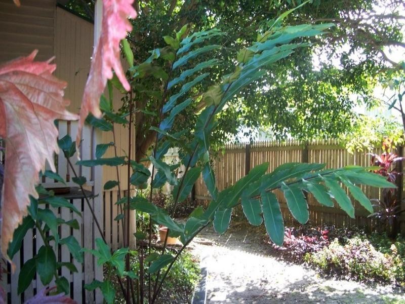 8 Prince Street, Southport QLD 4215