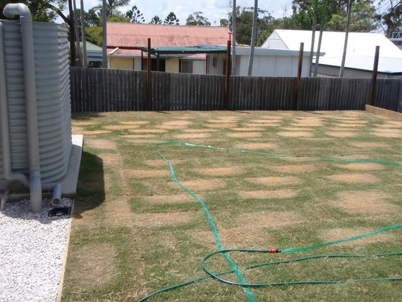 Labrador QLD 4215