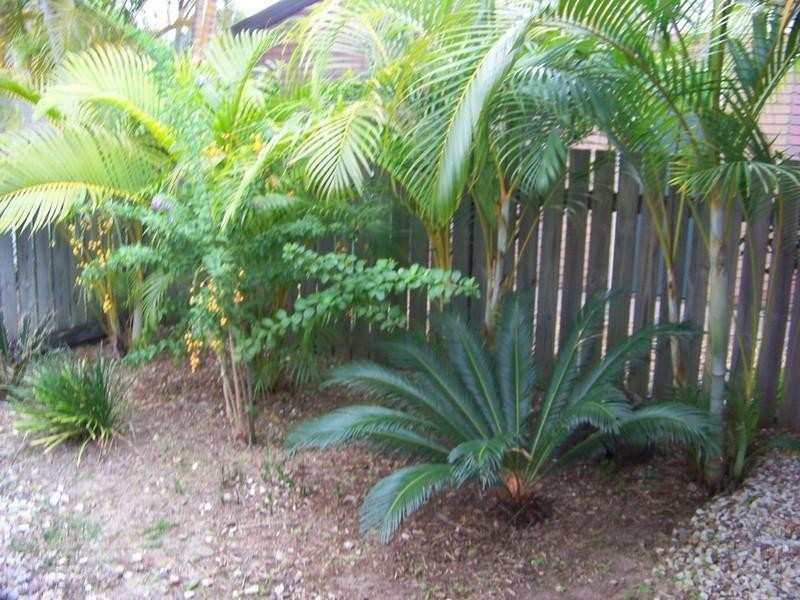 4/145 Government Road, Labrador QLD 4215