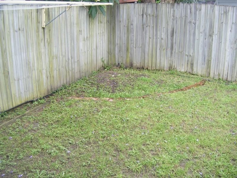 Biggera Waters QLD 4216