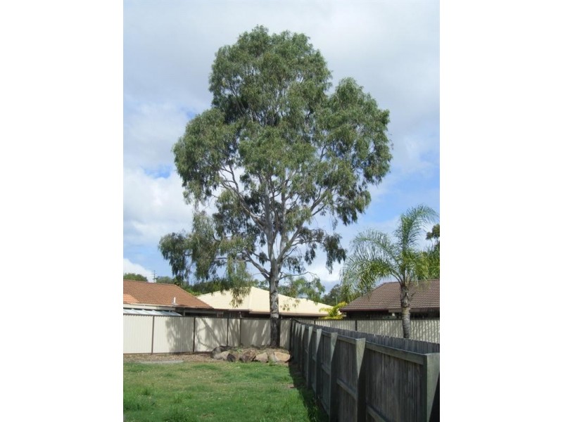 1/4 Echidna Court, Coombabah QLD 4216