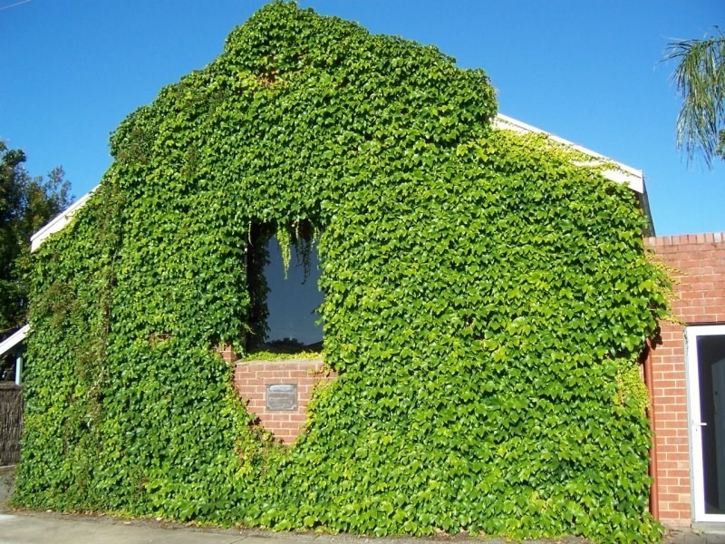 2a Watkins Street, Prospect SA 5082