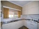 16 Durham Avenue, Lockleys SA 5032