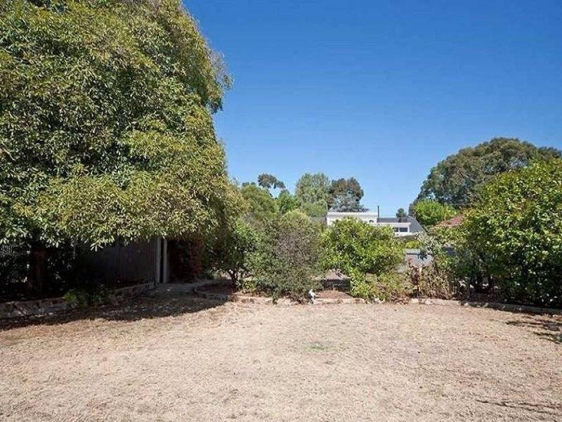 16 Durham Avenue, Lockleys SA 5032