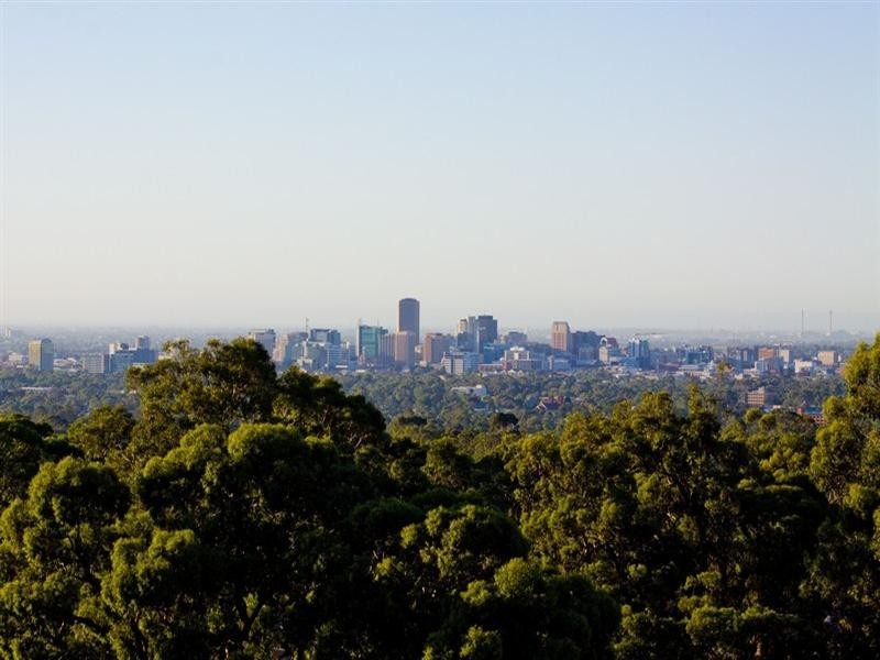 72B Birksgate Drive, Urrbrae SA 5064