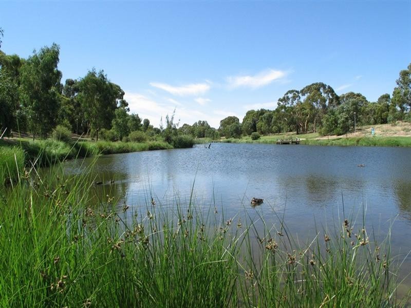 10 Autumn Avenue, Lockleys SA 5032