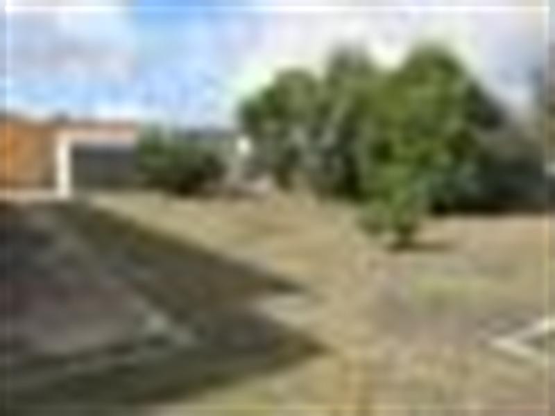 14 Darwin Street, Lockleys SA 5032