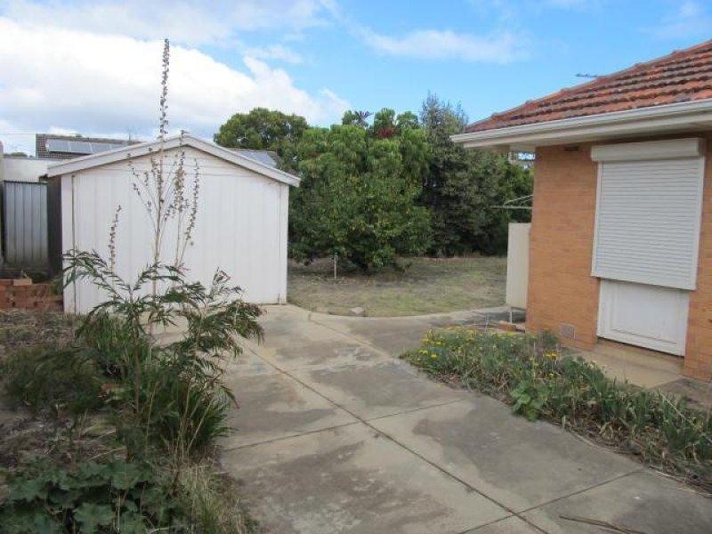 14 Darwin Street, Lockleys SA 5032